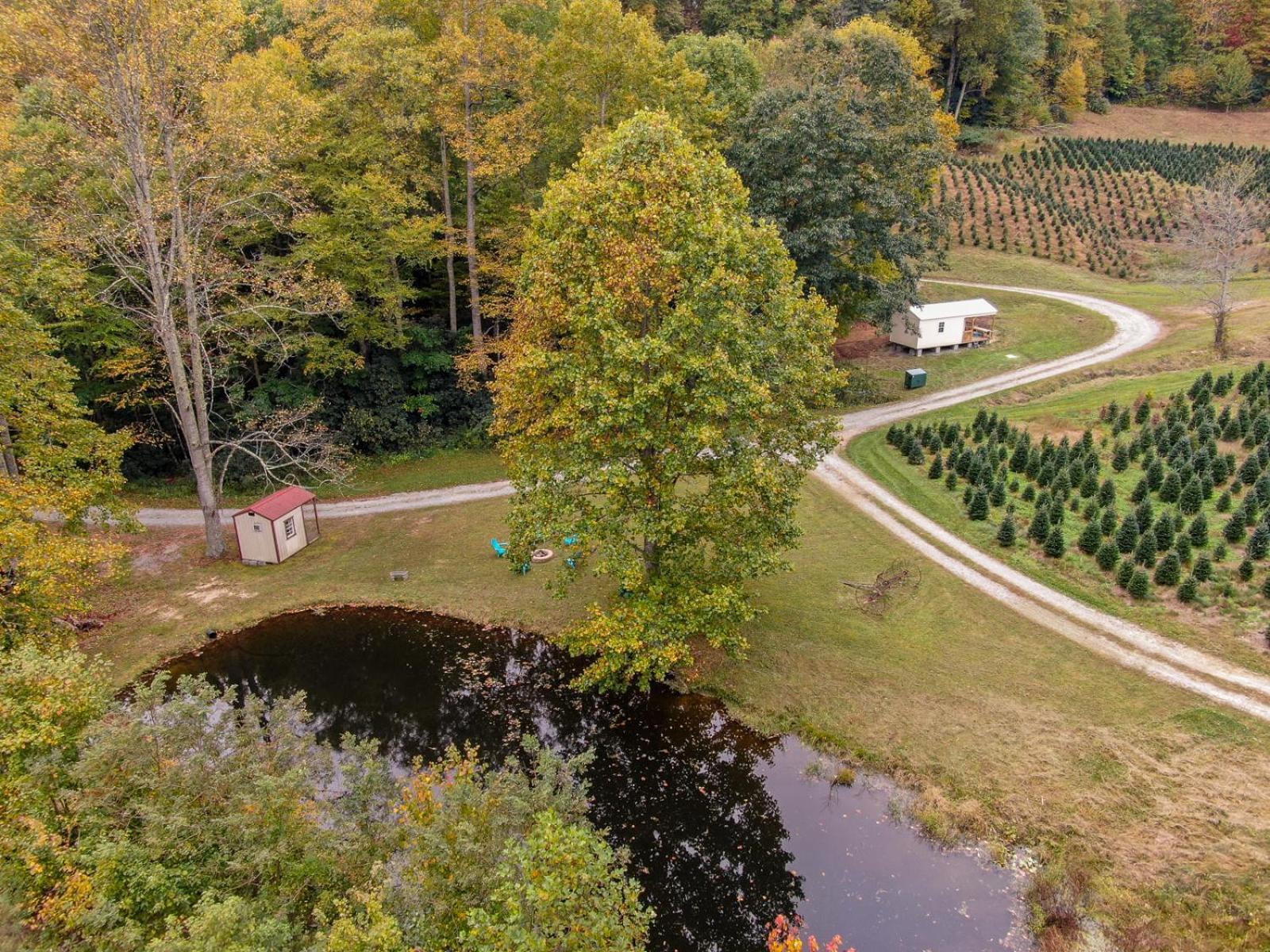 Songbird Cabin Villa Vilas Kültér fotó